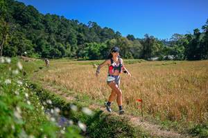 BIB: 
                            <button type="button" onclick="openModal(26632519)" class="btn btn-primary btn-sm float-right btn-popup" data-toggle="modal" data-target=".modal-high-quality">
                        <i class="fas fa-shopping-cart"></i> Add to Cart
                    </button>
                                            <button type="button" onclick="isThisMe(26632519, true)" class="btn btn-success btn-sm float-right btn-popup btn-isme hidden" data-toggle="tooltip" data-placement="bottom" title="นี่คือรูปของคุณใช่ไหม คลิกที่นี่เพื่อเอาเข้าอัลบั้ม">
                        <i class="fas fa-plus"></i> Add to album
                    </button>
                    <button type="button" onclick="isThisMe(26632519, false)" class="btn btn-warning btn-sm float-right btn-popup btn-isnotme hidden">
                        <i class="fas fa-ban"></i> Remove from album
                    </button>