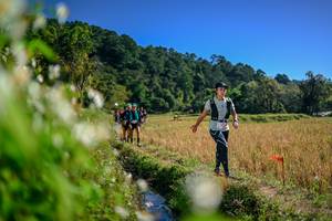 BIB: 
                            <button type="button" onclick="openModal(26575030)" class="btn btn-primary btn-sm float-right btn-popup" data-toggle="modal" data-target=".modal-high-quality">
                        <i class="fas fa-shopping-cart"></i> Add to Cart
                    </button>
                                            <button type="button" onclick="isThisMe(26575030, true)" class="btn btn-success btn-sm float-right btn-popup btn-isme hidden" data-toggle="tooltip" data-placement="bottom" title="นี่คือรูปของคุณใช่ไหม คลิกที่นี่เพื่อเอาเข้าอัลบั้ม">
                        <i class="fas fa-plus"></i> Add to album
                    </button>
                    <button type="button" onclick="isThisMe(26575030, false)" class="btn btn-warning btn-sm float-right btn-popup btn-isnotme hidden">
                        <i class="fas fa-ban"></i> Remove from album
                    </button>