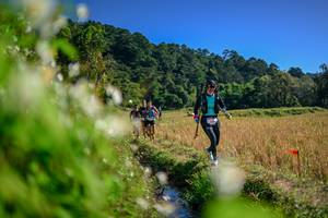 BIB: 
                            <button type="button" onclick="openModal(26574465)" class="btn btn-primary btn-sm float-right btn-popup" data-toggle="modal" data-target=".modal-high-quality">
                        <i class="fas fa-shopping-cart"></i> Add to Cart
                    </button>
                                            <button type="button" onclick="isThisMe(26574465, true)" class="btn btn-success btn-sm float-right btn-popup btn-isme hidden" data-toggle="tooltip" data-placement="bottom" title="นี่คือรูปของคุณใช่ไหม คลิกที่นี่เพื่อเอาเข้าอัลบั้ม">
                        <i class="fas fa-plus"></i> Add to album
                    </button>
                    <button type="button" onclick="isThisMe(26574465, false)" class="btn btn-warning btn-sm float-right btn-popup btn-isnotme hidden">
                        <i class="fas fa-ban"></i> Remove from album
                    </button>