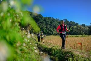 BIB: 
                            <button type="button" onclick="openModal(26580867)" class="btn btn-primary btn-sm float-right btn-popup" data-toggle="modal" data-target=".modal-high-quality">
                        <i class="fas fa-shopping-cart"></i> Add to Cart
                    </button>
                                            <button type="button" onclick="isThisMe(26580867, true)" class="btn btn-success btn-sm float-right btn-popup btn-isme hidden" data-toggle="tooltip" data-placement="bottom" title="นี่คือรูปของคุณใช่ไหม คลิกที่นี่เพื่อเอาเข้าอัลบั้ม">
                        <i class="fas fa-plus"></i> Add to album
                    </button>
                    <button type="button" onclick="isThisMe(26580867, false)" class="btn btn-warning btn-sm float-right btn-popup btn-isnotme hidden">
                        <i class="fas fa-ban"></i> Remove from album
                    </button>