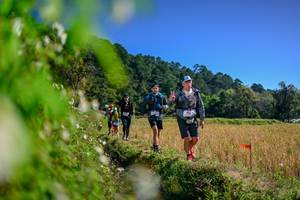 BIB: 
                            <button type="button" onclick="openModal(26580206)" class="btn btn-primary btn-sm float-right btn-popup" data-toggle="modal" data-target=".modal-high-quality">
                        <i class="fas fa-shopping-cart"></i> Add to Cart
                    </button>
                                            <button type="button" onclick="isThisMe(26580206, true)" class="btn btn-success btn-sm float-right btn-popup btn-isme hidden" data-toggle="tooltip" data-placement="bottom" title="นี่คือรูปของคุณใช่ไหม คลิกที่นี่เพื่อเอาเข้าอัลบั้ม">
                        <i class="fas fa-plus"></i> Add to album
                    </button>
                    <button type="button" onclick="isThisMe(26580206, false)" class="btn btn-warning btn-sm float-right btn-popup btn-isnotme hidden">
                        <i class="fas fa-ban"></i> Remove from album
                    </button>