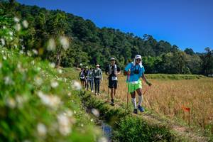 BIB: 
                            <button type="button" onclick="openModal(26582596)" class="btn btn-primary btn-sm float-right btn-popup" data-toggle="modal" data-target=".modal-high-quality">
                        <i class="fas fa-shopping-cart"></i> Add to Cart
                    </button>
                                            <button type="button" onclick="isThisMe(26582596, true)" class="btn btn-success btn-sm float-right btn-popup btn-isme hidden" data-toggle="tooltip" data-placement="bottom" title="นี่คือรูปของคุณใช่ไหม คลิกที่นี่เพื่อเอาเข้าอัลบั้ม">
                        <i class="fas fa-plus"></i> Add to album
                    </button>
                    <button type="button" onclick="isThisMe(26582596, false)" class="btn btn-warning btn-sm float-right btn-popup btn-isnotme hidden">
                        <i class="fas fa-ban"></i> Remove from album
                    </button>