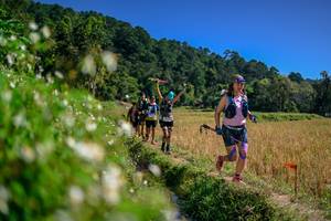 BIB: 
                            <button type="button" onclick="openModal(26582969)" class="btn btn-primary btn-sm float-right btn-popup" data-toggle="modal" data-target=".modal-high-quality">
                        <i class="fas fa-shopping-cart"></i> Add to Cart
                    </button>
                                            <button type="button" onclick="isThisMe(26582969, true)" class="btn btn-success btn-sm float-right btn-popup btn-isme hidden" data-toggle="tooltip" data-placement="bottom" title="นี่คือรูปของคุณใช่ไหม คลิกที่นี่เพื่อเอาเข้าอัลบั้ม">
                        <i class="fas fa-plus"></i> Add to album
                    </button>
                    <button type="button" onclick="isThisMe(26582969, false)" class="btn btn-warning btn-sm float-right btn-popup btn-isnotme hidden">
                        <i class="fas fa-ban"></i> Remove from album
                    </button>