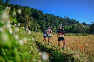 BIB: 
                            <button type="button" onclick="openModal(26573133)" class="btn btn-primary btn-sm float-right btn-popup" data-toggle="modal" data-target=".modal-high-quality">
                        <i class="fas fa-shopping-cart"></i> Add to Cart
                    </button>
                                            <button type="button" onclick="isThisMe(26573133, true)" class="btn btn-success btn-sm float-right btn-popup btn-isme hidden" data-toggle="tooltip" data-placement="bottom" title="นี่คือรูปของคุณใช่ไหม คลิกที่นี่เพื่อเอาเข้าอัลบั้ม">
                        <i class="fas fa-plus"></i> Add to album
                    </button>
                    <button type="button" onclick="isThisMe(26573133, false)" class="btn btn-warning btn-sm float-right btn-popup btn-isnotme hidden">
                        <i class="fas fa-ban"></i> Remove from album
                    </button>