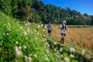 BIB: 
                            <button type="button" onclick="openModal(26571295)" class="btn btn-primary btn-sm float-right btn-popup" data-toggle="modal" data-target=".modal-high-quality">
                        <i class="fas fa-shopping-cart"></i> Add to Cart
                    </button>
                                            <button type="button" onclick="isThisMe(26571295, true)" class="btn btn-success btn-sm float-right btn-popup btn-isme hidden" data-toggle="tooltip" data-placement="bottom" title="นี่คือรูปของคุณใช่ไหม คลิกที่นี่เพื่อเอาเข้าอัลบั้ม">
                        <i class="fas fa-plus"></i> Add to album
                    </button>
                    <button type="button" onclick="isThisMe(26571295, false)" class="btn btn-warning btn-sm float-right btn-popup btn-isnotme hidden">
                        <i class="fas fa-ban"></i> Remove from album
                    </button>