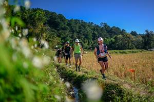 BIB: 
                            <button type="button" onclick="openModal(26574026)" class="btn btn-primary btn-sm float-right btn-popup" data-toggle="modal" data-target=".modal-high-quality">
                        <i class="fas fa-shopping-cart"></i> Add to Cart
                    </button>
                                            <button type="button" onclick="isThisMe(26574026, true)" class="btn btn-success btn-sm float-right btn-popup btn-isme hidden" data-toggle="tooltip" data-placement="bottom" title="นี่คือรูปของคุณใช่ไหม คลิกที่นี่เพื่อเอาเข้าอัลบั้ม">
                        <i class="fas fa-plus"></i> Add to album
                    </button>
                    <button type="button" onclick="isThisMe(26574026, false)" class="btn btn-warning btn-sm float-right btn-popup btn-isnotme hidden">
                        <i class="fas fa-ban"></i> Remove from album
                    </button>