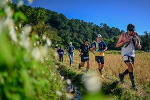 BIB: 
                            <button type="button" onclick="openModal(26573329)" class="btn btn-primary btn-sm float-right btn-popup" data-toggle="modal" data-target=".modal-high-quality">
                        <i class="fas fa-shopping-cart"></i> Add to Cart
                    </button>
                                            <button type="button" onclick="isThisMe(26573329, true)" class="btn btn-success btn-sm float-right btn-popup btn-isme hidden" data-toggle="tooltip" data-placement="bottom" title="นี่คือรูปของคุณใช่ไหม คลิกที่นี่เพื่อเอาเข้าอัลบั้ม">
                        <i class="fas fa-plus"></i> Add to album
                    </button>
                    <button type="button" onclick="isThisMe(26573329, false)" class="btn btn-warning btn-sm float-right btn-popup btn-isnotme hidden">
                        <i class="fas fa-ban"></i> Remove from album
                    </button>