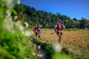 BIB: 
                            <button type="button" onclick="openModal(26574183)" class="btn btn-primary btn-sm float-right btn-popup" data-toggle="modal" data-target=".modal-high-quality">
                        <i class="fas fa-shopping-cart"></i> Add to Cart
                    </button>
                                            <button type="button" onclick="isThisMe(26574183, true)" class="btn btn-success btn-sm float-right btn-popup btn-isme hidden" data-toggle="tooltip" data-placement="bottom" title="นี่คือรูปของคุณใช่ไหม คลิกที่นี่เพื่อเอาเข้าอัลบั้ม">
                        <i class="fas fa-plus"></i> Add to album
                    </button>
                    <button type="button" onclick="isThisMe(26574183, false)" class="btn btn-warning btn-sm float-right btn-popup btn-isnotme hidden">
                        <i class="fas fa-ban"></i> Remove from album
                    </button>