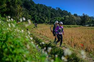 BIB: 
                            <button type="button" onclick="openModal(26576501)" class="btn btn-primary btn-sm float-right btn-popup" data-toggle="modal" data-target=".modal-high-quality">
                        <i class="fas fa-shopping-cart"></i> Add to Cart
                    </button>
                                            <button type="button" onclick="isThisMe(26576501, true)" class="btn btn-success btn-sm float-right btn-popup btn-isme hidden" data-toggle="tooltip" data-placement="bottom" title="นี่คือรูปของคุณใช่ไหม คลิกที่นี่เพื่อเอาเข้าอัลบั้ม">
                        <i class="fas fa-plus"></i> Add to album
                    </button>
                    <button type="button" onclick="isThisMe(26576501, false)" class="btn btn-warning btn-sm float-right btn-popup btn-isnotme hidden">
                        <i class="fas fa-ban"></i> Remove from album
                    </button>