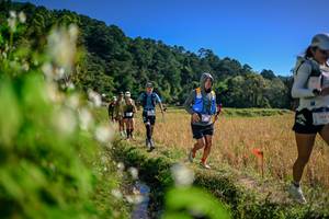 BIB: 
                            <button type="button" onclick="openModal(26575509)" class="btn btn-primary btn-sm float-right btn-popup" data-toggle="modal" data-target=".modal-high-quality">
                        <i class="fas fa-shopping-cart"></i> Add to Cart
                    </button>
                                            <button type="button" onclick="isThisMe(26575509, true)" class="btn btn-success btn-sm float-right btn-popup btn-isme hidden" data-toggle="tooltip" data-placement="bottom" title="นี่คือรูปของคุณใช่ไหม คลิกที่นี่เพื่อเอาเข้าอัลบั้ม">
                        <i class="fas fa-plus"></i> Add to album
                    </button>
                    <button type="button" onclick="isThisMe(26575509, false)" class="btn btn-warning btn-sm float-right btn-popup btn-isnotme hidden">
                        <i class="fas fa-ban"></i> Remove from album
                    </button>