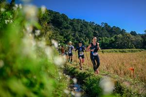 BIB: 
                            <button type="button" onclick="openModal(26574330)" class="btn btn-primary btn-sm float-right btn-popup" data-toggle="modal" data-target=".modal-high-quality">
                        <i class="fas fa-shopping-cart"></i> Add to Cart
                    </button>
                                            <button type="button" onclick="isThisMe(26574330, true)" class="btn btn-success btn-sm float-right btn-popup btn-isme hidden" data-toggle="tooltip" data-placement="bottom" title="นี่คือรูปของคุณใช่ไหม คลิกที่นี่เพื่อเอาเข้าอัลบั้ม">
                        <i class="fas fa-plus"></i> Add to album
                    </button>
                    <button type="button" onclick="isThisMe(26574330, false)" class="btn btn-warning btn-sm float-right btn-popup btn-isnotme hidden">
                        <i class="fas fa-ban"></i> Remove from album
                    </button>