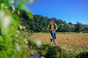 BIB: 
                            <button type="button" onclick="openModal(26579660)" class="btn btn-primary btn-sm float-right btn-popup" data-toggle="modal" data-target=".modal-high-quality">
                        <i class="fas fa-shopping-cart"></i> Add to Cart
                    </button>
                                            <button type="button" onclick="isThisMe(26579660, true)" class="btn btn-success btn-sm float-right btn-popup btn-isme hidden" data-toggle="tooltip" data-placement="bottom" title="นี่คือรูปของคุณใช่ไหม คลิกที่นี่เพื่อเอาเข้าอัลบั้ม">
                        <i class="fas fa-plus"></i> Add to album
                    </button>
                    <button type="button" onclick="isThisMe(26579660, false)" class="btn btn-warning btn-sm float-right btn-popup btn-isnotme hidden">
                        <i class="fas fa-ban"></i> Remove from album
                    </button>