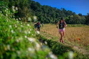 BIB: 
                            <button type="button" onclick="openModal(26581762)" class="btn btn-primary btn-sm float-right btn-popup" data-toggle="modal" data-target=".modal-high-quality">
                        <i class="fas fa-shopping-cart"></i> Add to Cart
                    </button>
                                            <button type="button" onclick="isThisMe(26581762, true)" class="btn btn-success btn-sm float-right btn-popup btn-isme hidden" data-toggle="tooltip" data-placement="bottom" title="นี่คือรูปของคุณใช่ไหม คลิกที่นี่เพื่อเอาเข้าอัลบั้ม">
                        <i class="fas fa-plus"></i> Add to album
                    </button>
                    <button type="button" onclick="isThisMe(26581762, false)" class="btn btn-warning btn-sm float-right btn-popup btn-isnotme hidden">
                        <i class="fas fa-ban"></i> Remove from album
                    </button>