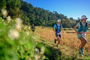 BIB: 
                            <button type="button" onclick="openModal(26570469)" class="btn btn-primary btn-sm float-right btn-popup" data-toggle="modal" data-target=".modal-high-quality">
                        <i class="fas fa-shopping-cart"></i> Add to Cart
                    </button>
                                            <button type="button" onclick="isThisMe(26570469, true)" class="btn btn-success btn-sm float-right btn-popup btn-isme hidden" data-toggle="tooltip" data-placement="bottom" title="นี่คือรูปของคุณใช่ไหม คลิกที่นี่เพื่อเอาเข้าอัลบั้ม">
                        <i class="fas fa-plus"></i> Add to album
                    </button>
                    <button type="button" onclick="isThisMe(26570469, false)" class="btn btn-warning btn-sm float-right btn-popup btn-isnotme hidden">
                        <i class="fas fa-ban"></i> Remove from album
                    </button>