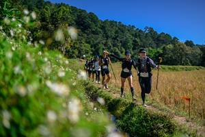 BIB: 
                            <button type="button" onclick="openModal(26583136)" class="btn btn-primary btn-sm float-right btn-popup" data-toggle="modal" data-target=".modal-high-quality">
                        <i class="fas fa-shopping-cart"></i> Add to Cart
                    </button>
                                            <button type="button" onclick="isThisMe(26583136, true)" class="btn btn-success btn-sm float-right btn-popup btn-isme hidden" data-toggle="tooltip" data-placement="bottom" title="นี่คือรูปของคุณใช่ไหม คลิกที่นี่เพื่อเอาเข้าอัลบั้ม">
                        <i class="fas fa-plus"></i> Add to album
                    </button>
                    <button type="button" onclick="isThisMe(26583136, false)" class="btn btn-warning btn-sm float-right btn-popup btn-isnotme hidden">
                        <i class="fas fa-ban"></i> Remove from album
                    </button>