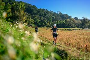 BIB: 
                            <button type="button" onclick="openModal(26570526)" class="btn btn-primary btn-sm float-right btn-popup" data-toggle="modal" data-target=".modal-high-quality">
                        <i class="fas fa-shopping-cart"></i> Add to Cart
                    </button>
                                            <button type="button" onclick="isThisMe(26570526, true)" class="btn btn-success btn-sm float-right btn-popup btn-isme hidden" data-toggle="tooltip" data-placement="bottom" title="นี่คือรูปของคุณใช่ไหม คลิกที่นี่เพื่อเอาเข้าอัลบั้ม">
                        <i class="fas fa-plus"></i> Add to album
                    </button>
                    <button type="button" onclick="isThisMe(26570526, false)" class="btn btn-warning btn-sm float-right btn-popup btn-isnotme hidden">
                        <i class="fas fa-ban"></i> Remove from album
                    </button>