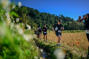 BIB: 
                            <button type="button" onclick="openModal(26574051)" class="btn btn-primary btn-sm float-right btn-popup" data-toggle="modal" data-target=".modal-high-quality">
                        <i class="fas fa-shopping-cart"></i> Add to Cart
                    </button>
                                            <button type="button" onclick="isThisMe(26574051, true)" class="btn btn-success btn-sm float-right btn-popup btn-isme hidden" data-toggle="tooltip" data-placement="bottom" title="นี่คือรูปของคุณใช่ไหม คลิกที่นี่เพื่อเอาเข้าอัลบั้ม">
                        <i class="fas fa-plus"></i> Add to album
                    </button>
                    <button type="button" onclick="isThisMe(26574051, false)" class="btn btn-warning btn-sm float-right btn-popup btn-isnotme hidden">
                        <i class="fas fa-ban"></i> Remove from album
                    </button>