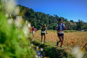 BIB: 
                            <button type="button" onclick="openModal(26572190)" class="btn btn-primary btn-sm float-right btn-popup" data-toggle="modal" data-target=".modal-high-quality">
                        <i class="fas fa-shopping-cart"></i> Add to Cart
                    </button>
                                            <button type="button" onclick="isThisMe(26572190, true)" class="btn btn-success btn-sm float-right btn-popup btn-isme hidden" data-toggle="tooltip" data-placement="bottom" title="นี่คือรูปของคุณใช่ไหม คลิกที่นี่เพื่อเอาเข้าอัลบั้ม">
                        <i class="fas fa-plus"></i> Add to album
                    </button>
                    <button type="button" onclick="isThisMe(26572190, false)" class="btn btn-warning btn-sm float-right btn-popup btn-isnotme hidden">
                        <i class="fas fa-ban"></i> Remove from album
                    </button>