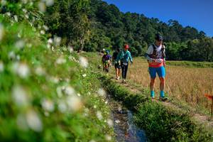 BIB: 
                            <button type="button" onclick="openModal(26583218)" class="btn btn-primary btn-sm float-right btn-popup" data-toggle="modal" data-target=".modal-high-quality">
                        <i class="fas fa-shopping-cart"></i> Add to Cart
                    </button>
                                            <button type="button" onclick="isThisMe(26583218, true)" class="btn btn-success btn-sm float-right btn-popup btn-isme hidden" data-toggle="tooltip" data-placement="bottom" title="นี่คือรูปของคุณใช่ไหม คลิกที่นี่เพื่อเอาเข้าอัลบั้ม">
                        <i class="fas fa-plus"></i> Add to album
                    </button>
                    <button type="button" onclick="isThisMe(26583218, false)" class="btn btn-warning btn-sm float-right btn-popup btn-isnotme hidden">
                        <i class="fas fa-ban"></i> Remove from album
                    </button>