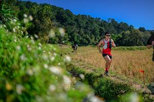 BIB: 
                            <button type="button" onclick="openModal(26581876)" class="btn btn-primary btn-sm float-right btn-popup" data-toggle="modal" data-target=".modal-high-quality">
                        <i class="fas fa-shopping-cart"></i> Add to Cart
                    </button>
                                            <button type="button" onclick="isThisMe(26581876, true)" class="btn btn-success btn-sm float-right btn-popup btn-isme hidden" data-toggle="tooltip" data-placement="bottom" title="นี่คือรูปของคุณใช่ไหม คลิกที่นี่เพื่อเอาเข้าอัลบั้ม">
                        <i class="fas fa-plus"></i> Add to album
                    </button>
                    <button type="button" onclick="isThisMe(26581876, false)" class="btn btn-warning btn-sm float-right btn-popup btn-isnotme hidden">
                        <i class="fas fa-ban"></i> Remove from album
                    </button>