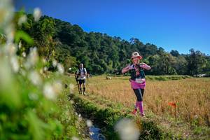 BIB: 
                            <button type="button" onclick="openModal(26573192)" class="btn btn-primary btn-sm float-right btn-popup" data-toggle="modal" data-target=".modal-high-quality">
                        <i class="fas fa-shopping-cart"></i> Add to Cart
                    </button>
                                            <button type="button" onclick="isThisMe(26573192, true)" class="btn btn-success btn-sm float-right btn-popup btn-isme hidden" data-toggle="tooltip" data-placement="bottom" title="นี่คือรูปของคุณใช่ไหม คลิกที่นี่เพื่อเอาเข้าอัลบั้ม">
                        <i class="fas fa-plus"></i> Add to album
                    </button>
                    <button type="button" onclick="isThisMe(26573192, false)" class="btn btn-warning btn-sm float-right btn-popup btn-isnotme hidden">
                        <i class="fas fa-ban"></i> Remove from album
                    </button>