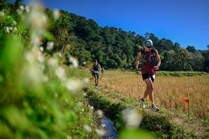 BIB: 
                            <button type="button" onclick="openModal(26575363)" class="btn btn-primary btn-sm float-right btn-popup" data-toggle="modal" data-target=".modal-high-quality">
                        <i class="fas fa-shopping-cart"></i> Add to Cart
                    </button>
                                            <button type="button" onclick="isThisMe(26575363, true)" class="btn btn-success btn-sm float-right btn-popup btn-isme hidden" data-toggle="tooltip" data-placement="bottom" title="นี่คือรูปของคุณใช่ไหม คลิกที่นี่เพื่อเอาเข้าอัลบั้ม">
                        <i class="fas fa-plus"></i> Add to album
                    </button>
                    <button type="button" onclick="isThisMe(26575363, false)" class="btn btn-warning btn-sm float-right btn-popup btn-isnotme hidden">
                        <i class="fas fa-ban"></i> Remove from album
                    </button>