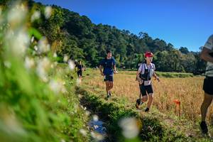 BIB: 
                            <button type="button" onclick="openModal(26571822)" class="btn btn-primary btn-sm float-right btn-popup" data-toggle="modal" data-target=".modal-high-quality">
                        <i class="fas fa-shopping-cart"></i> Add to Cart
                    </button>
                                            <button type="button" onclick="isThisMe(26571822, true)" class="btn btn-success btn-sm float-right btn-popup btn-isme hidden" data-toggle="tooltip" data-placement="bottom" title="นี่คือรูปของคุณใช่ไหม คลิกที่นี่เพื่อเอาเข้าอัลบั้ม">
                        <i class="fas fa-plus"></i> Add to album
                    </button>
                    <button type="button" onclick="isThisMe(26571822, false)" class="btn btn-warning btn-sm float-right btn-popup btn-isnotme hidden">
                        <i class="fas fa-ban"></i> Remove from album
                    </button>