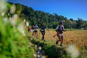 BIB: 
                            <button type="button" onclick="openModal(26572181)" class="btn btn-primary btn-sm float-right btn-popup" data-toggle="modal" data-target=".modal-high-quality">
                        <i class="fas fa-shopping-cart"></i> Add to Cart
                    </button>
                                            <button type="button" onclick="isThisMe(26572181, true)" class="btn btn-success btn-sm float-right btn-popup btn-isme hidden" data-toggle="tooltip" data-placement="bottom" title="นี่คือรูปของคุณใช่ไหม คลิกที่นี่เพื่อเอาเข้าอัลบั้ม">
                        <i class="fas fa-plus"></i> Add to album
                    </button>
                    <button type="button" onclick="isThisMe(26572181, false)" class="btn btn-warning btn-sm float-right btn-popup btn-isnotme hidden">
                        <i class="fas fa-ban"></i> Remove from album
                    </button>