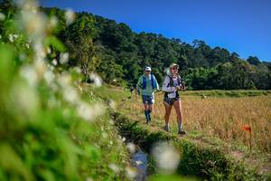 BIB: 
                            <button type="button" onclick="openModal(26575269)" class="btn btn-primary btn-sm float-right btn-popup" data-toggle="modal" data-target=".modal-high-quality">
                        <i class="fas fa-shopping-cart"></i> Add to Cart
                    </button>
                                            <button type="button" onclick="isThisMe(26575269, true)" class="btn btn-success btn-sm float-right btn-popup btn-isme hidden" data-toggle="tooltip" data-placement="bottom" title="นี่คือรูปของคุณใช่ไหม คลิกที่นี่เพื่อเอาเข้าอัลบั้ม">
                        <i class="fas fa-plus"></i> Add to album
                    </button>
                    <button type="button" onclick="isThisMe(26575269, false)" class="btn btn-warning btn-sm float-right btn-popup btn-isnotme hidden">
                        <i class="fas fa-ban"></i> Remove from album
                    </button>