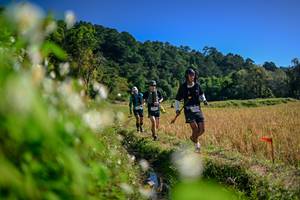 BIB: 
                            <button type="button" onclick="openModal(26574252)" class="btn btn-primary btn-sm float-right btn-popup" data-toggle="modal" data-target=".modal-high-quality">
                        <i class="fas fa-shopping-cart"></i> Add to Cart
                    </button>
                                            <button type="button" onclick="isThisMe(26574252, true)" class="btn btn-success btn-sm float-right btn-popup btn-isme hidden" data-toggle="tooltip" data-placement="bottom" title="นี่คือรูปของคุณใช่ไหม คลิกที่นี่เพื่อเอาเข้าอัลบั้ม">
                        <i class="fas fa-plus"></i> Add to album
                    </button>
                    <button type="button" onclick="isThisMe(26574252, false)" class="btn btn-warning btn-sm float-right btn-popup btn-isnotme hidden">
                        <i class="fas fa-ban"></i> Remove from album
                    </button>