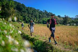 BIB: 
                            <button type="button" onclick="openModal(26576455)" class="btn btn-primary btn-sm float-right btn-popup" data-toggle="modal" data-target=".modal-high-quality">
                        <i class="fas fa-shopping-cart"></i> Add to Cart
                    </button>
                                            <button type="button" onclick="isThisMe(26576455, true)" class="btn btn-success btn-sm float-right btn-popup btn-isme hidden" data-toggle="tooltip" data-placement="bottom" title="นี่คือรูปของคุณใช่ไหม คลิกที่นี่เพื่อเอาเข้าอัลบั้ม">
                        <i class="fas fa-plus"></i> Add to album
                    </button>
                    <button type="button" onclick="isThisMe(26576455, false)" class="btn btn-warning btn-sm float-right btn-popup btn-isnotme hidden">
                        <i class="fas fa-ban"></i> Remove from album
                    </button>