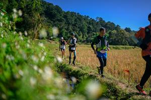 BIB: 
                            <button type="button" onclick="openModal(26576345)" class="btn btn-primary btn-sm float-right btn-popup" data-toggle="modal" data-target=".modal-high-quality">
                        <i class="fas fa-shopping-cart"></i> Add to Cart
                    </button>
                                            <button type="button" onclick="isThisMe(26576345, true)" class="btn btn-success btn-sm float-right btn-popup btn-isme hidden" data-toggle="tooltip" data-placement="bottom" title="นี่คือรูปของคุณใช่ไหม คลิกที่นี่เพื่อเอาเข้าอัลบั้ม">
                        <i class="fas fa-plus"></i> Add to album
                    </button>
                    <button type="button" onclick="isThisMe(26576345, false)" class="btn btn-warning btn-sm float-right btn-popup btn-isnotme hidden">
                        <i class="fas fa-ban"></i> Remove from album
                    </button>