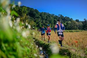 BIB: 
                            <button type="button" onclick="openModal(26572988)" class="btn btn-primary btn-sm float-right btn-popup" data-toggle="modal" data-target=".modal-high-quality">
                        <i class="fas fa-shopping-cart"></i> Add to Cart
                    </button>
                                            <button type="button" onclick="isThisMe(26572988, true)" class="btn btn-success btn-sm float-right btn-popup btn-isme hidden" data-toggle="tooltip" data-placement="bottom" title="นี่คือรูปของคุณใช่ไหม คลิกที่นี่เพื่อเอาเข้าอัลบั้ม">
                        <i class="fas fa-plus"></i> Add to album
                    </button>
                    <button type="button" onclick="isThisMe(26572988, false)" class="btn btn-warning btn-sm float-right btn-popup btn-isnotme hidden">
                        <i class="fas fa-ban"></i> Remove from album
                    </button>