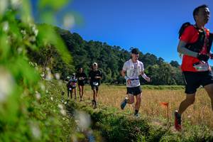 BIB: 
                            <button type="button" onclick="openModal(26579778)" class="btn btn-primary btn-sm float-right btn-popup" data-toggle="modal" data-target=".modal-high-quality">
                        <i class="fas fa-shopping-cart"></i> Add to Cart
                    </button>
                                            <button type="button" onclick="isThisMe(26579778, true)" class="btn btn-success btn-sm float-right btn-popup btn-isme hidden" data-toggle="tooltip" data-placement="bottom" title="นี่คือรูปของคุณใช่ไหม คลิกที่นี่เพื่อเอาเข้าอัลบั้ม">
                        <i class="fas fa-plus"></i> Add to album
                    </button>
                    <button type="button" onclick="isThisMe(26579778, false)" class="btn btn-warning btn-sm float-right btn-popup btn-isnotme hidden">
                        <i class="fas fa-ban"></i> Remove from album
                    </button>