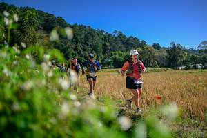 BIB: 
                            <button type="button" onclick="openModal(26581523)" class="btn btn-primary btn-sm float-right btn-popup" data-toggle="modal" data-target=".modal-high-quality">
                        <i class="fas fa-shopping-cart"></i> Add to Cart
                    </button>
                                            <button type="button" onclick="isThisMe(26581523, true)" class="btn btn-success btn-sm float-right btn-popup btn-isme hidden" data-toggle="tooltip" data-placement="bottom" title="นี่คือรูปของคุณใช่ไหม คลิกที่นี่เพื่อเอาเข้าอัลบั้ม">
                        <i class="fas fa-plus"></i> Add to album
                    </button>
                    <button type="button" onclick="isThisMe(26581523, false)" class="btn btn-warning btn-sm float-right btn-popup btn-isnotme hidden">
                        <i class="fas fa-ban"></i> Remove from album
                    </button>