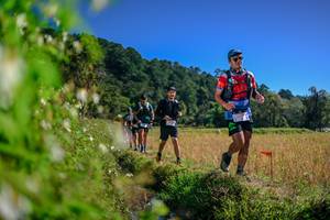 BIB: 
                            <button type="button" onclick="openModal(26580590)" class="btn btn-primary btn-sm float-right btn-popup" data-toggle="modal" data-target=".modal-high-quality">
                        <i class="fas fa-shopping-cart"></i> Add to Cart
                    </button>
                                            <button type="button" onclick="isThisMe(26580590, true)" class="btn btn-success btn-sm float-right btn-popup btn-isme hidden" data-toggle="tooltip" data-placement="bottom" title="นี่คือรูปของคุณใช่ไหม คลิกที่นี่เพื่อเอาเข้าอัลบั้ม">
                        <i class="fas fa-plus"></i> Add to album
                    </button>
                    <button type="button" onclick="isThisMe(26580590, false)" class="btn btn-warning btn-sm float-right btn-popup btn-isnotme hidden">
                        <i class="fas fa-ban"></i> Remove from album
                    </button>