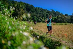 BIB: 
                            <button type="button" onclick="openModal(26582002)" class="btn btn-primary btn-sm float-right btn-popup" data-toggle="modal" data-target=".modal-high-quality">
                        <i class="fas fa-shopping-cart"></i> Add to Cart
                    </button>
                                            <button type="button" onclick="isThisMe(26582002, true)" class="btn btn-success btn-sm float-right btn-popup btn-isme hidden" data-toggle="tooltip" data-placement="bottom" title="นี่คือรูปของคุณใช่ไหม คลิกที่นี่เพื่อเอาเข้าอัลบั้ม">
                        <i class="fas fa-plus"></i> Add to album
                    </button>
                    <button type="button" onclick="isThisMe(26582002, false)" class="btn btn-warning btn-sm float-right btn-popup btn-isnotme hidden">
                        <i class="fas fa-ban"></i> Remove from album
                    </button>