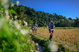 BIB: 
                            <button type="button" onclick="openModal(26573712)" class="btn btn-primary btn-sm float-right btn-popup" data-toggle="modal" data-target=".modal-high-quality">
                        <i class="fas fa-shopping-cart"></i> Add to Cart
                    </button>
                                            <button type="button" onclick="isThisMe(26573712, true)" class="btn btn-success btn-sm float-right btn-popup btn-isme hidden" data-toggle="tooltip" data-placement="bottom" title="นี่คือรูปของคุณใช่ไหม คลิกที่นี่เพื่อเอาเข้าอัลบั้ม">
                        <i class="fas fa-plus"></i> Add to album
                    </button>
                    <button type="button" onclick="isThisMe(26573712, false)" class="btn btn-warning btn-sm float-right btn-popup btn-isnotme hidden">
                        <i class="fas fa-ban"></i> Remove from album
                    </button>