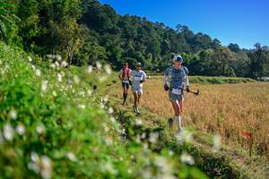 BIB: 
                            <button type="button" onclick="openModal(26571370)" class="btn btn-primary btn-sm float-right btn-popup" data-toggle="modal" data-target=".modal-high-quality">
                        <i class="fas fa-shopping-cart"></i> Add to Cart
                    </button>
                                            <button type="button" onclick="isThisMe(26571370, true)" class="btn btn-success btn-sm float-right btn-popup btn-isme hidden" data-toggle="tooltip" data-placement="bottom" title="นี่คือรูปของคุณใช่ไหม คลิกที่นี่เพื่อเอาเข้าอัลบั้ม">
                        <i class="fas fa-plus"></i> Add to album
                    </button>
                    <button type="button" onclick="isThisMe(26571370, false)" class="btn btn-warning btn-sm float-right btn-popup btn-isnotme hidden">
                        <i class="fas fa-ban"></i> Remove from album
                    </button>