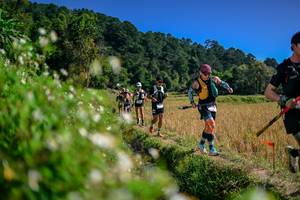 BIB: 
                            <button type="button" onclick="openModal(26582065)" class="btn btn-primary btn-sm float-right btn-popup" data-toggle="modal" data-target=".modal-high-quality">
                        <i class="fas fa-shopping-cart"></i> Add to Cart
                    </button>
                                            <button type="button" onclick="isThisMe(26582065, true)" class="btn btn-success btn-sm float-right btn-popup btn-isme hidden" data-toggle="tooltip" data-placement="bottom" title="นี่คือรูปของคุณใช่ไหม คลิกที่นี่เพื่อเอาเข้าอัลบั้ม">
                        <i class="fas fa-plus"></i> Add to album
                    </button>
                    <button type="button" onclick="isThisMe(26582065, false)" class="btn btn-warning btn-sm float-right btn-popup btn-isnotme hidden">
                        <i class="fas fa-ban"></i> Remove from album
                    </button>