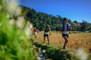 BIB: 
                            <button type="button" onclick="openModal(26572189)" class="btn btn-primary btn-sm float-right btn-popup" data-toggle="modal" data-target=".modal-high-quality">
                        <i class="fas fa-shopping-cart"></i> Add to Cart
                    </button>
                                            <button type="button" onclick="isThisMe(26572189, true)" class="btn btn-success btn-sm float-right btn-popup btn-isme hidden" data-toggle="tooltip" data-placement="bottom" title="นี่คือรูปของคุณใช่ไหม คลิกที่นี่เพื่อเอาเข้าอัลบั้ม">
                        <i class="fas fa-plus"></i> Add to album
                    </button>
                    <button type="button" onclick="isThisMe(26572189, false)" class="btn btn-warning btn-sm float-right btn-popup btn-isnotme hidden">
                        <i class="fas fa-ban"></i> Remove from album
                    </button>