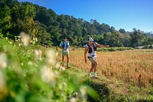 BIB: 
                            <button type="button" onclick="openModal(26570485)" class="btn btn-primary btn-sm float-right btn-popup" data-toggle="modal" data-target=".modal-high-quality">
                        <i class="fas fa-shopping-cart"></i> Add to Cart
                    </button>
                                            <button type="button" onclick="isThisMe(26570485, true)" class="btn btn-success btn-sm float-right btn-popup btn-isme hidden" data-toggle="tooltip" data-placement="bottom" title="นี่คือรูปของคุณใช่ไหม คลิกที่นี่เพื่อเอาเข้าอัลบั้ม">
                        <i class="fas fa-plus"></i> Add to album
                    </button>
                    <button type="button" onclick="isThisMe(26570485, false)" class="btn btn-warning btn-sm float-right btn-popup btn-isnotme hidden">
                        <i class="fas fa-ban"></i> Remove from album
                    </button>