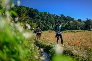 BIB: 
                            <button type="button" onclick="openModal(26574470)" class="btn btn-primary btn-sm float-right btn-popup" data-toggle="modal" data-target=".modal-high-quality">
                        <i class="fas fa-shopping-cart"></i> Add to Cart
                    </button>
                                            <button type="button" onclick="isThisMe(26574470, true)" class="btn btn-success btn-sm float-right btn-popup btn-isme hidden" data-toggle="tooltip" data-placement="bottom" title="นี่คือรูปของคุณใช่ไหม คลิกที่นี่เพื่อเอาเข้าอัลบั้ม">
                        <i class="fas fa-plus"></i> Add to album
                    </button>
                    <button type="button" onclick="isThisMe(26574470, false)" class="btn btn-warning btn-sm float-right btn-popup btn-isnotme hidden">
                        <i class="fas fa-ban"></i> Remove from album
                    </button>