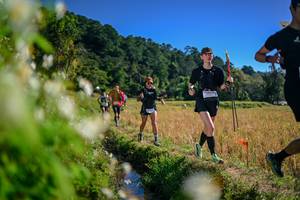 BIB: 
                            <button type="button" onclick="openModal(26575115)" class="btn btn-primary btn-sm float-right btn-popup" data-toggle="modal" data-target=".modal-high-quality">
                        <i class="fas fa-shopping-cart"></i> Add to Cart
                    </button>
                                            <button type="button" onclick="isThisMe(26575115, true)" class="btn btn-success btn-sm float-right btn-popup btn-isme hidden" data-toggle="tooltip" data-placement="bottom" title="นี่คือรูปของคุณใช่ไหม คลิกที่นี่เพื่อเอาเข้าอัลบั้ม">
                        <i class="fas fa-plus"></i> Add to album
                    </button>
                    <button type="button" onclick="isThisMe(26575115, false)" class="btn btn-warning btn-sm float-right btn-popup btn-isnotme hidden">
                        <i class="fas fa-ban"></i> Remove from album
                    </button>