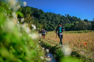 BIB: 
                            <button type="button" onclick="openModal(26574461)" class="btn btn-primary btn-sm float-right btn-popup" data-toggle="modal" data-target=".modal-high-quality">
                        <i class="fas fa-shopping-cart"></i> Add to Cart
                    </button>
                                            <button type="button" onclick="isThisMe(26574461, true)" class="btn btn-success btn-sm float-right btn-popup btn-isme hidden" data-toggle="tooltip" data-placement="bottom" title="นี่คือรูปของคุณใช่ไหม คลิกที่นี่เพื่อเอาเข้าอัลบั้ม">
                        <i class="fas fa-plus"></i> Add to album
                    </button>
                    <button type="button" onclick="isThisMe(26574461, false)" class="btn btn-warning btn-sm float-right btn-popup btn-isnotme hidden">
                        <i class="fas fa-ban"></i> Remove from album
                    </button>