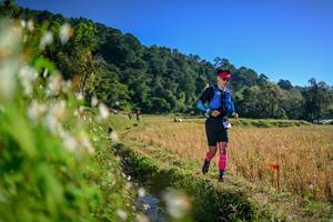 BIB: 
                            <button type="button" onclick="openModal(26571736)" class="btn btn-primary btn-sm float-right btn-popup" data-toggle="modal" data-target=".modal-high-quality">
                        <i class="fas fa-shopping-cart"></i> Add to Cart
                    </button>
                                            <button type="button" onclick="isThisMe(26571736, true)" class="btn btn-success btn-sm float-right btn-popup btn-isme hidden" data-toggle="tooltip" data-placement="bottom" title="นี่คือรูปของคุณใช่ไหม คลิกที่นี่เพื่อเอาเข้าอัลบั้ม">
                        <i class="fas fa-plus"></i> Add to album
                    </button>
                    <button type="button" onclick="isThisMe(26571736, false)" class="btn btn-warning btn-sm float-right btn-popup btn-isnotme hidden">
                        <i class="fas fa-ban"></i> Remove from album
                    </button>