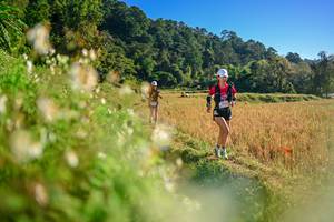 BIB: 
                            <button type="button" onclick="openModal(26570982)" class="btn btn-primary btn-sm float-right btn-popup" data-toggle="modal" data-target=".modal-high-quality">
                        <i class="fas fa-shopping-cart"></i> Add to Cart
                    </button>
                                            <button type="button" onclick="isThisMe(26570982, true)" class="btn btn-success btn-sm float-right btn-popup btn-isme hidden" data-toggle="tooltip" data-placement="bottom" title="นี่คือรูปของคุณใช่ไหม คลิกที่นี่เพื่อเอาเข้าอัลบั้ม">
                        <i class="fas fa-plus"></i> Add to album
                    </button>
                    <button type="button" onclick="isThisMe(26570982, false)" class="btn btn-warning btn-sm float-right btn-popup btn-isnotme hidden">
                        <i class="fas fa-ban"></i> Remove from album
                    </button>