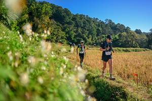 BIB: 
                            <button type="button" onclick="openModal(26570931)" class="btn btn-primary btn-sm float-right btn-popup" data-toggle="modal" data-target=".modal-high-quality">
                        <i class="fas fa-shopping-cart"></i> Add to Cart
                    </button>
                                            <button type="button" onclick="isThisMe(26570931, true)" class="btn btn-success btn-sm float-right btn-popup btn-isme hidden" data-toggle="tooltip" data-placement="bottom" title="นี่คือรูปของคุณใช่ไหม คลิกที่นี่เพื่อเอาเข้าอัลบั้ม">
                        <i class="fas fa-plus"></i> Add to album
                    </button>
                    <button type="button" onclick="isThisMe(26570931, false)" class="btn btn-warning btn-sm float-right btn-popup btn-isnotme hidden">
                        <i class="fas fa-ban"></i> Remove from album
                    </button>