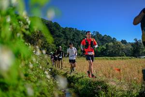 BIB: 
                            <button type="button" onclick="openModal(26579765)" class="btn btn-primary btn-sm float-right btn-popup" data-toggle="modal" data-target=".modal-high-quality">
                        <i class="fas fa-shopping-cart"></i> Add to Cart
                    </button>
                                            <button type="button" onclick="isThisMe(26579765, true)" class="btn btn-success btn-sm float-right btn-popup btn-isme hidden" data-toggle="tooltip" data-placement="bottom" title="นี่คือรูปของคุณใช่ไหม คลิกที่นี่เพื่อเอาเข้าอัลบั้ม">
                        <i class="fas fa-plus"></i> Add to album
                    </button>
                    <button type="button" onclick="isThisMe(26579765, false)" class="btn btn-warning btn-sm float-right btn-popup btn-isnotme hidden">
                        <i class="fas fa-ban"></i> Remove from album
                    </button>