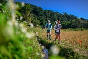 BIB: 
                            <button type="button" onclick="openModal(26575275)" class="btn btn-primary btn-sm float-right btn-popup" data-toggle="modal" data-target=".modal-high-quality">
                        <i class="fas fa-shopping-cart"></i> Add to Cart
                    </button>
                                            <button type="button" onclick="isThisMe(26575275, true)" class="btn btn-success btn-sm float-right btn-popup btn-isme hidden" data-toggle="tooltip" data-placement="bottom" title="นี่คือรูปของคุณใช่ไหม คลิกที่นี่เพื่อเอาเข้าอัลบั้ม">
                        <i class="fas fa-plus"></i> Add to album
                    </button>
                    <button type="button" onclick="isThisMe(26575275, false)" class="btn btn-warning btn-sm float-right btn-popup btn-isnotme hidden">
                        <i class="fas fa-ban"></i> Remove from album
                    </button>